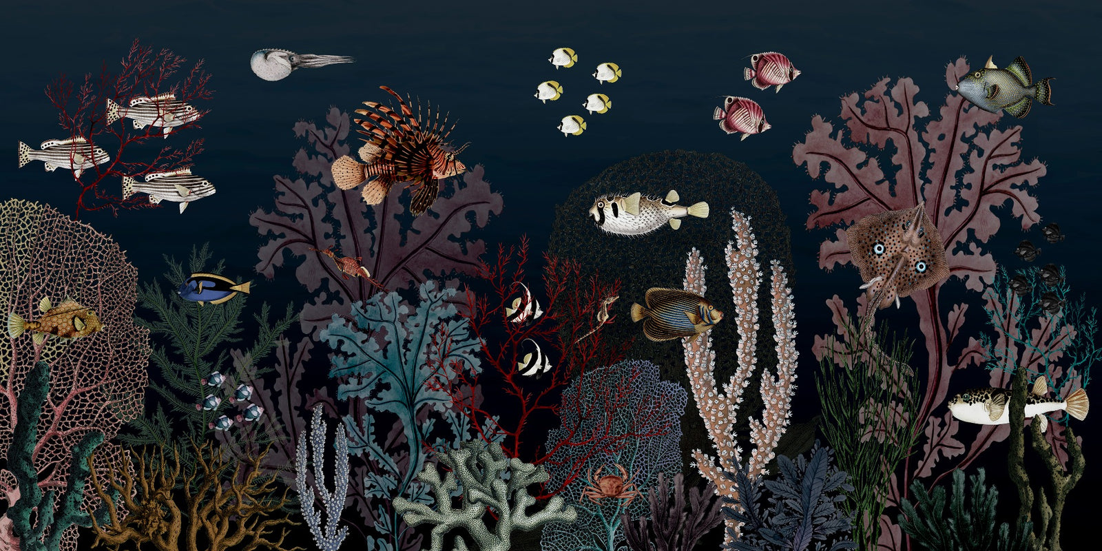 Underwater Dark Reef with Fish wallpaper for Kids room