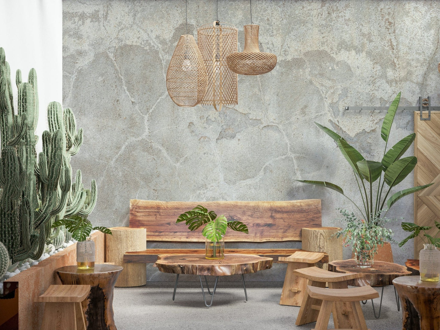 Urban Texture wallpaper mural in gray concrete behind a live-edge wood bench and cacti in a boho lounge