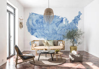USA map with states and capitals in blue watercolor wallpaper mural behind a cane sofa and olive tree in a living room