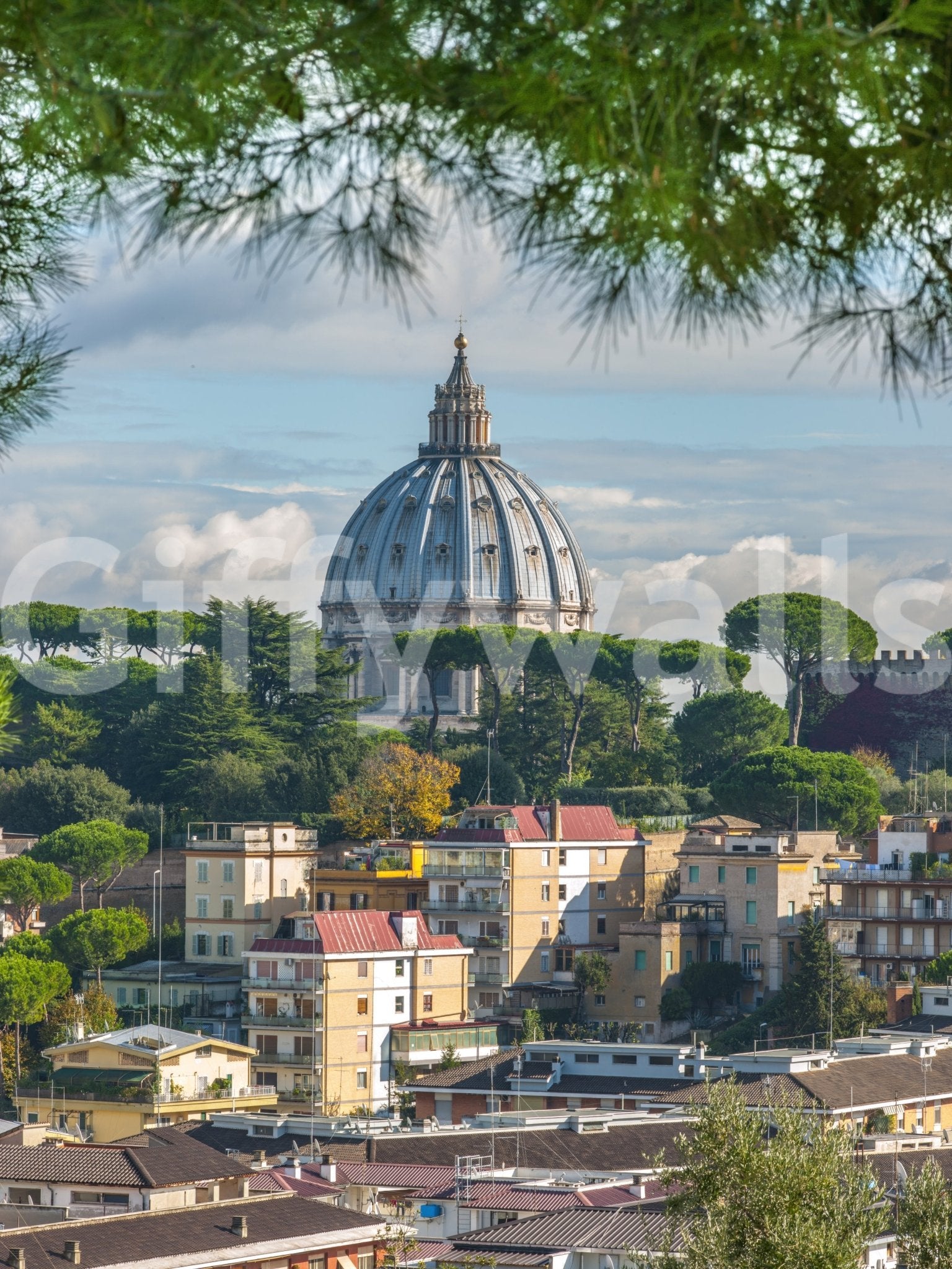 Detailed Vatican City mural wallpaper bringing culture indoors

