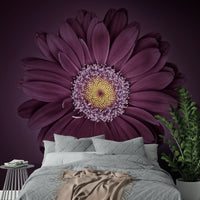Sophisticated Velvet Bloom mural featuring luxurious blooms.

