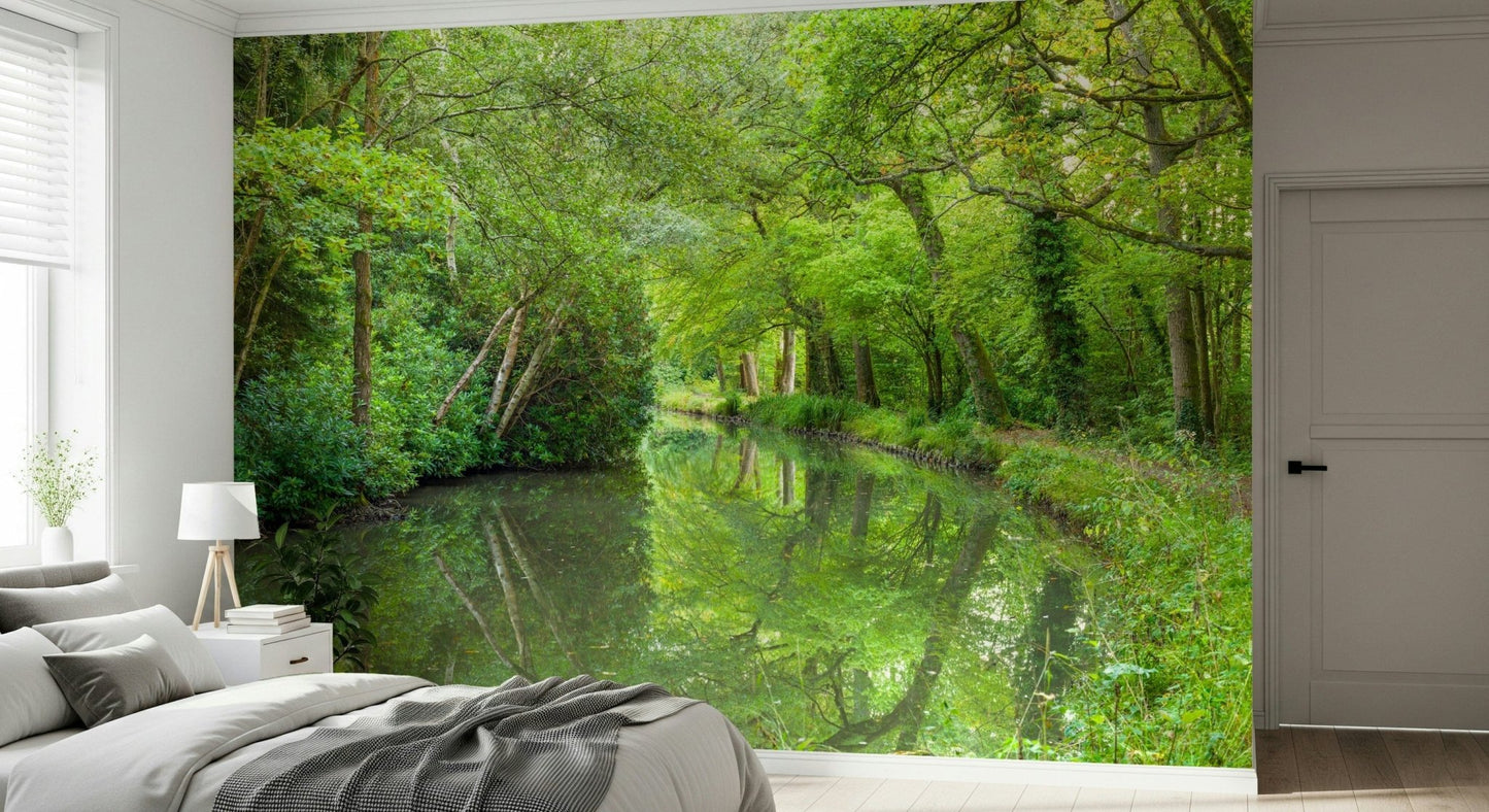 Idyllic forest stream, Stream Escape mural wallpaper, a superb, unspoilt natural image.