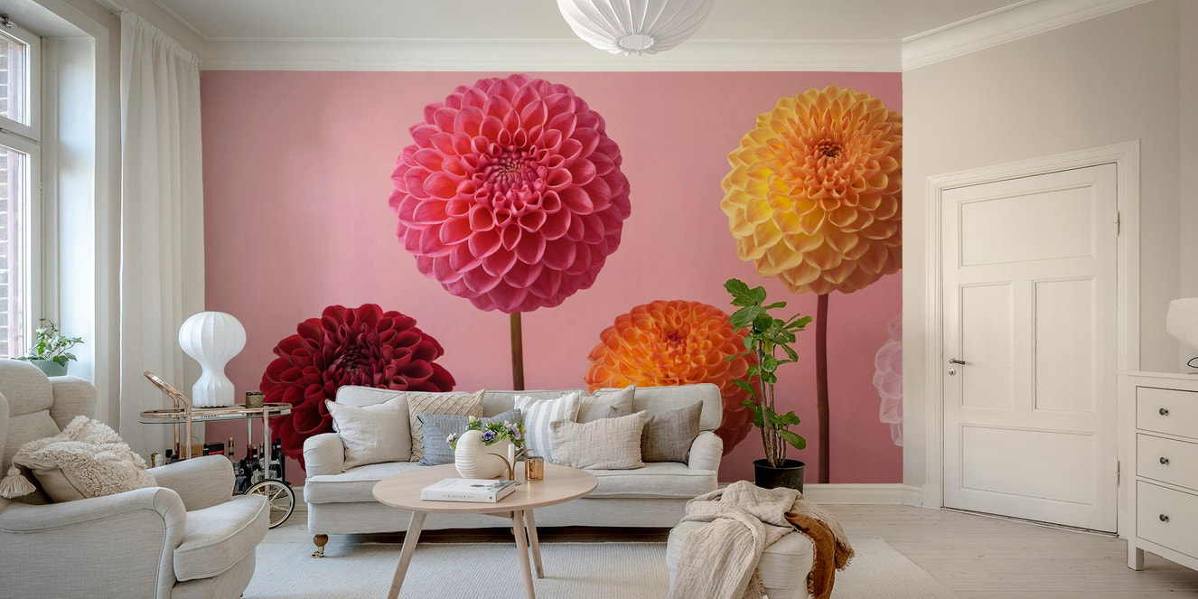 A wall mural of a vibrant dahlia array.

