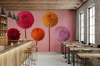 Five perfectly formed dahlia flowers.

