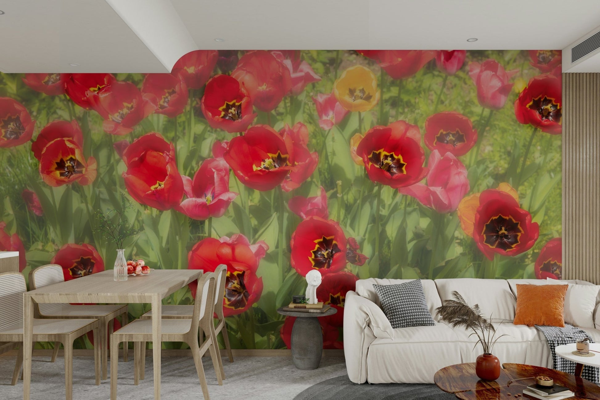 high-quality photograph of red tulips

