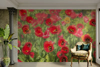 beautiful field of red flowers

