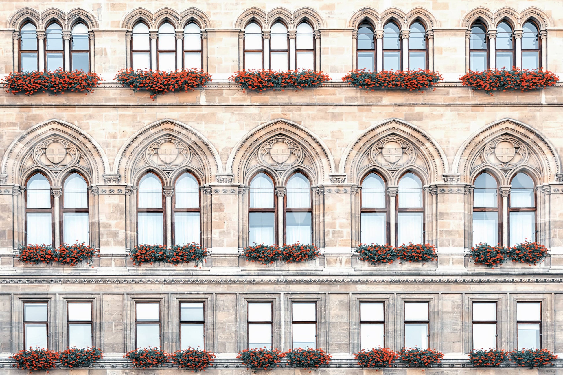 Vienna architectural wall mural with balanced facade patterns