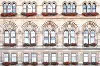 Vienna architectural wall mural with balanced facade patterns