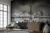 Paris rooftops and boulevards stretch across mural design

