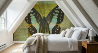 Vintage Gilded Butterfly wall mural with golden square overlay and grunge details