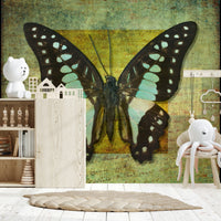 Gilded Butterfly wallpaper showing detailed butterfly anatomy on antique texture