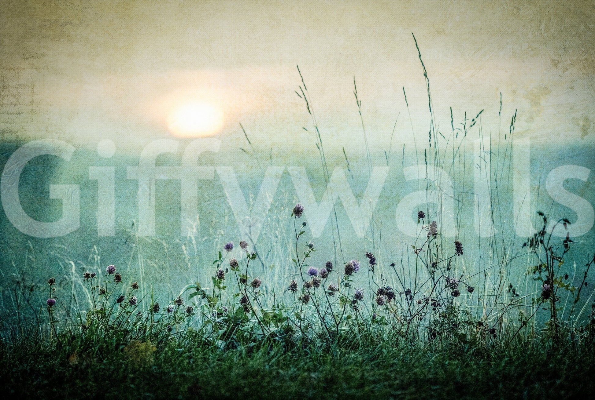 Vintage-inspired meadow wallpaper capturing the calm beauty of early morning light.
