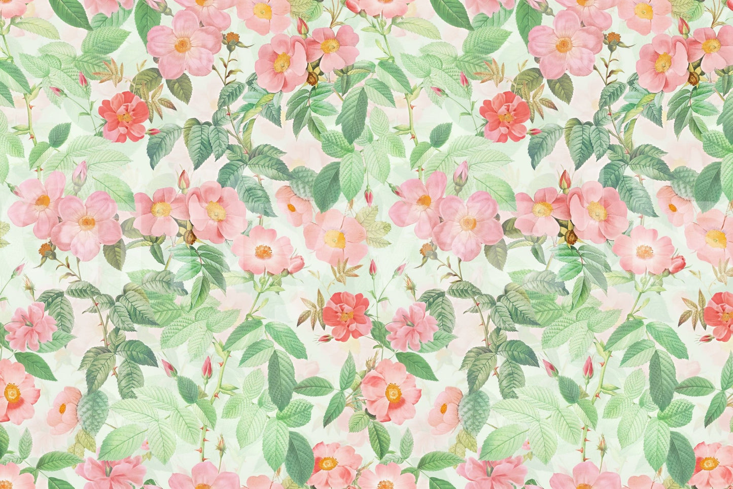Vintage Redouté  Rose Garden Wall Mural