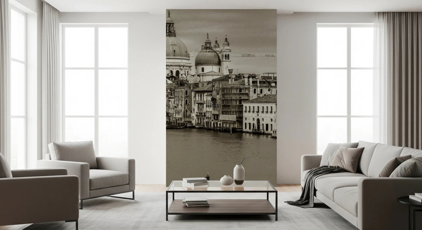 Vintage Venice View Wall Mural
