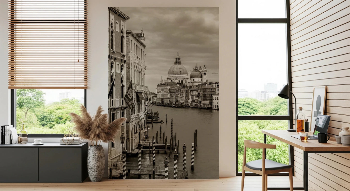 Vintage Venice View Wall Mural