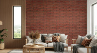 A beautiful modern art wall mural of painted texture.

