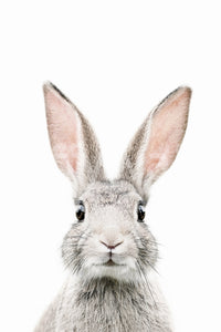 Floral-themed bunny wallpaper mural for nurseries