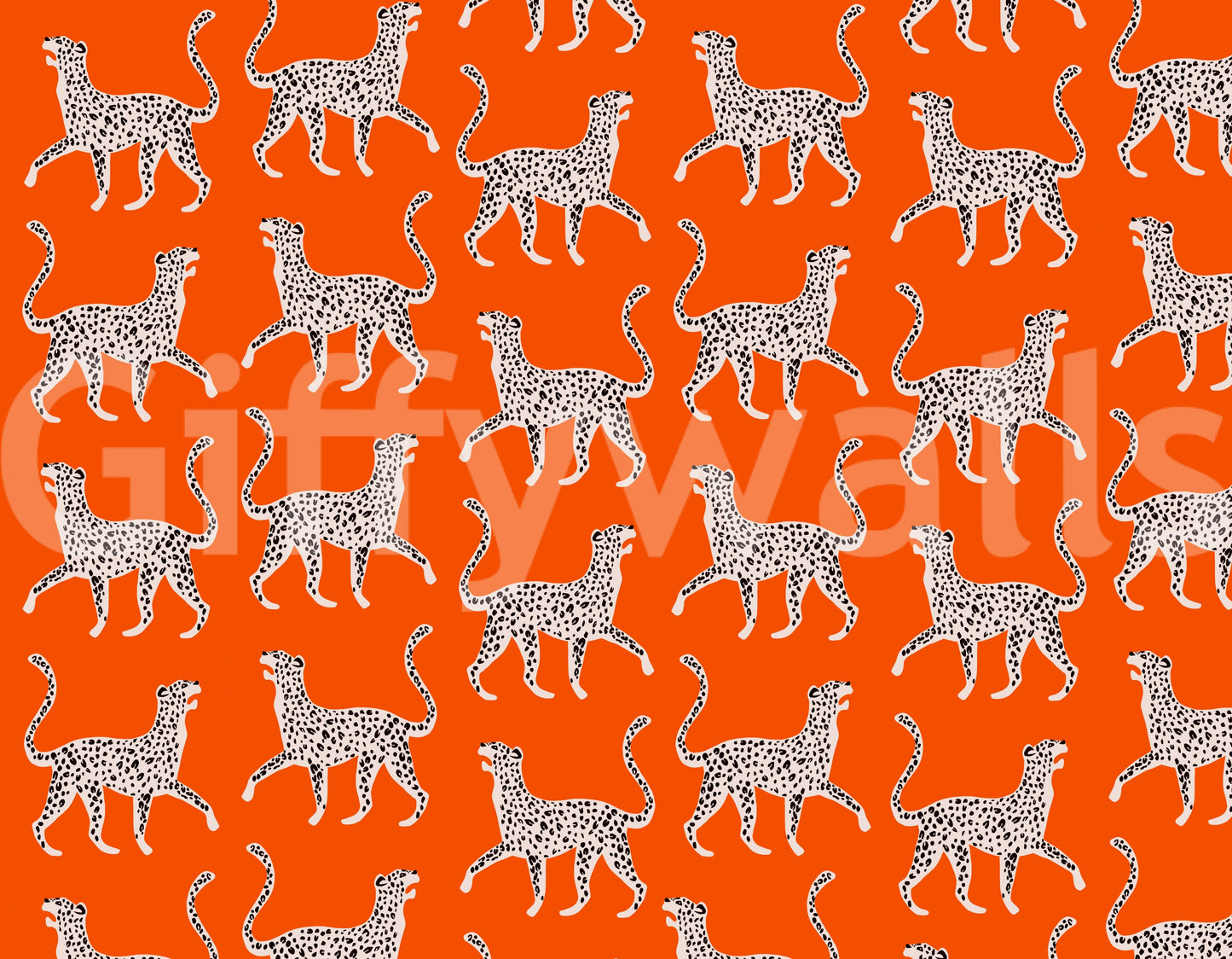 Cheetah Chich Wall Mural