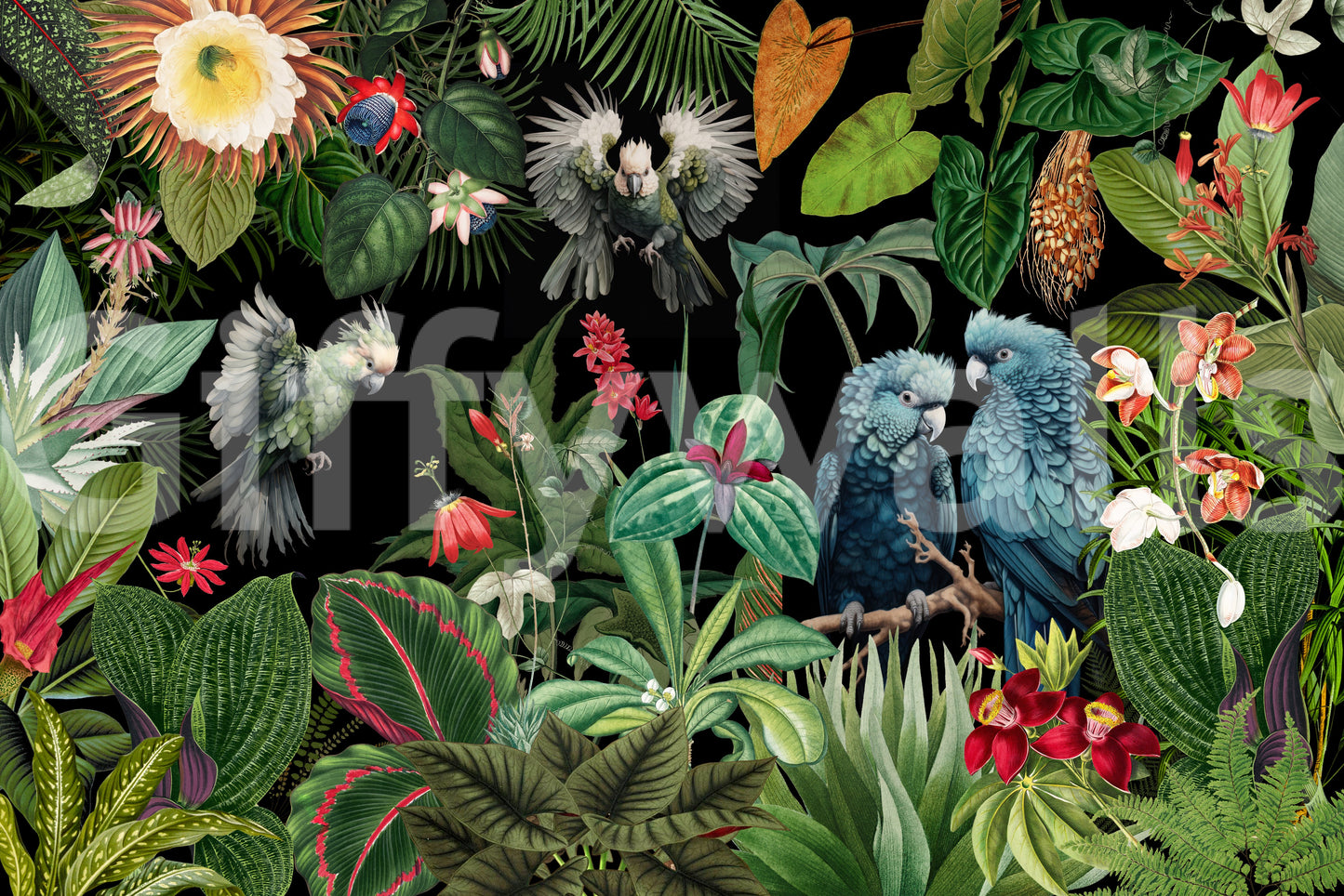 Wallpaper mural featuring tropical flowers and vintage paradise design

