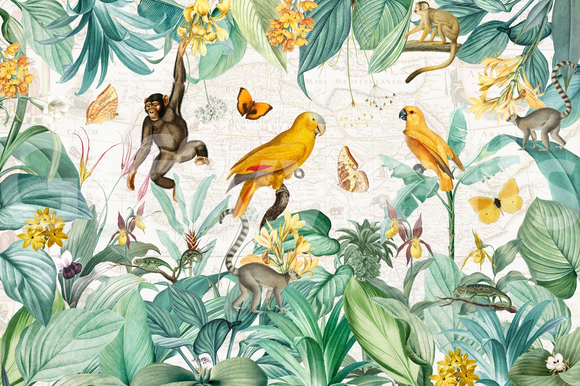 Wallpaper with exotic nature motifs

