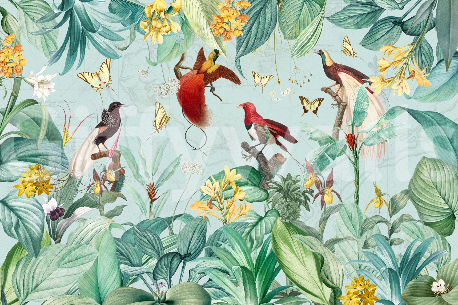 Artistic tropical wallpaper for homes

