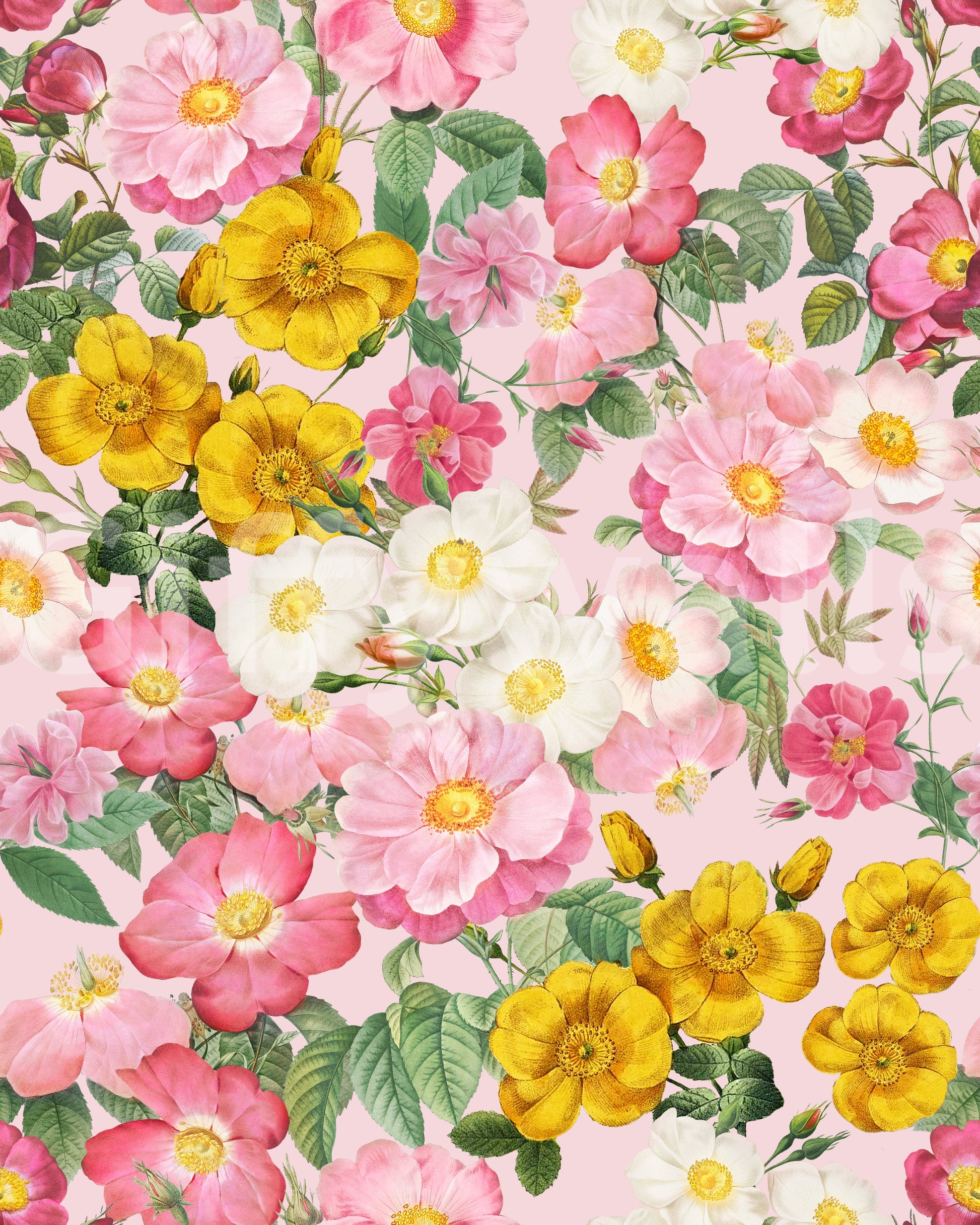 Romantic wallpaper featuring roses and leaves

