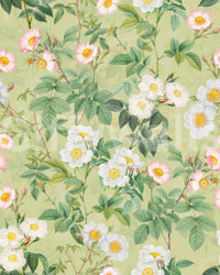 Vintage-inspired wallpaper with soft pink roses and detailed foliage.

