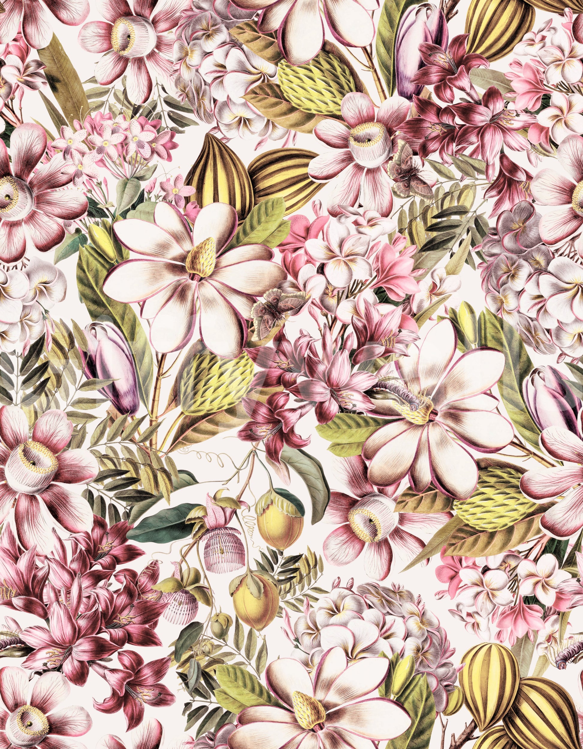Soft floral wallpaper bringing vintage botanical charm to your space.

