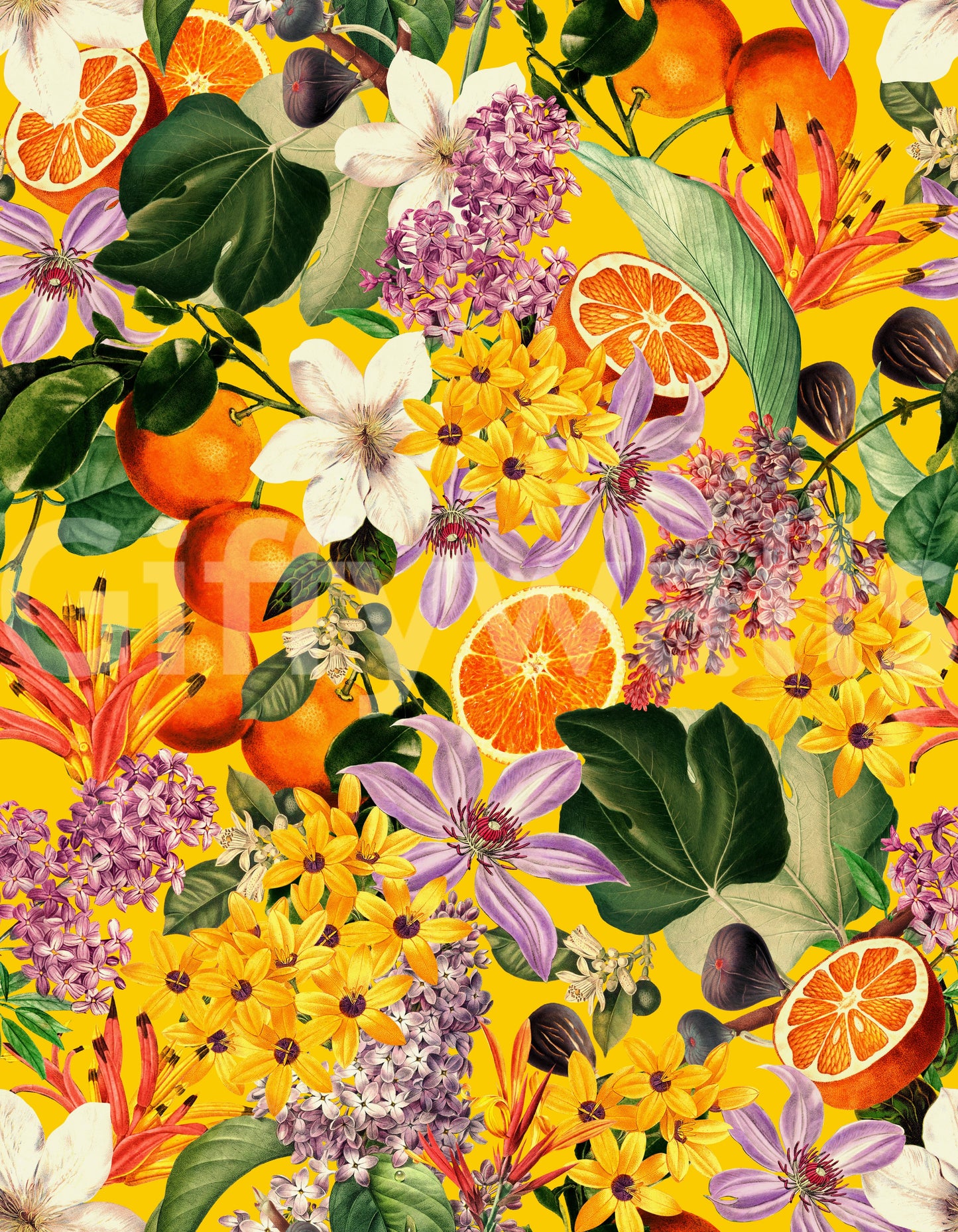 Fresh citrus-inspired wallpaper bringing color and warmth to rooms


