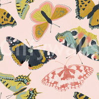 Elegant butterfly mural wallpaper for soft rooms

