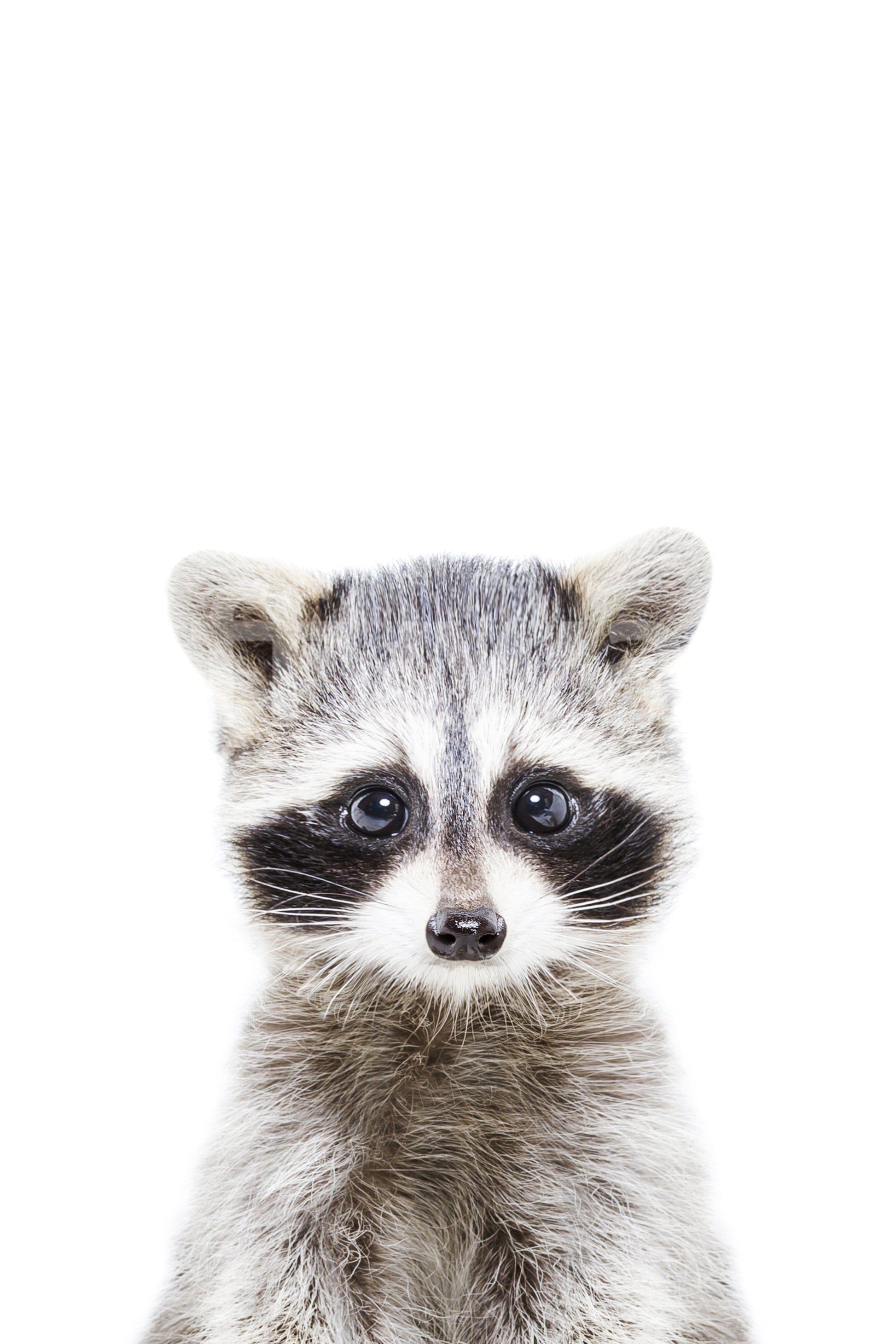 Playroom styled with baby raccoon mural

