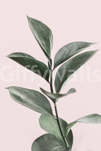 Neutral room with calming pink and green wallpaper

