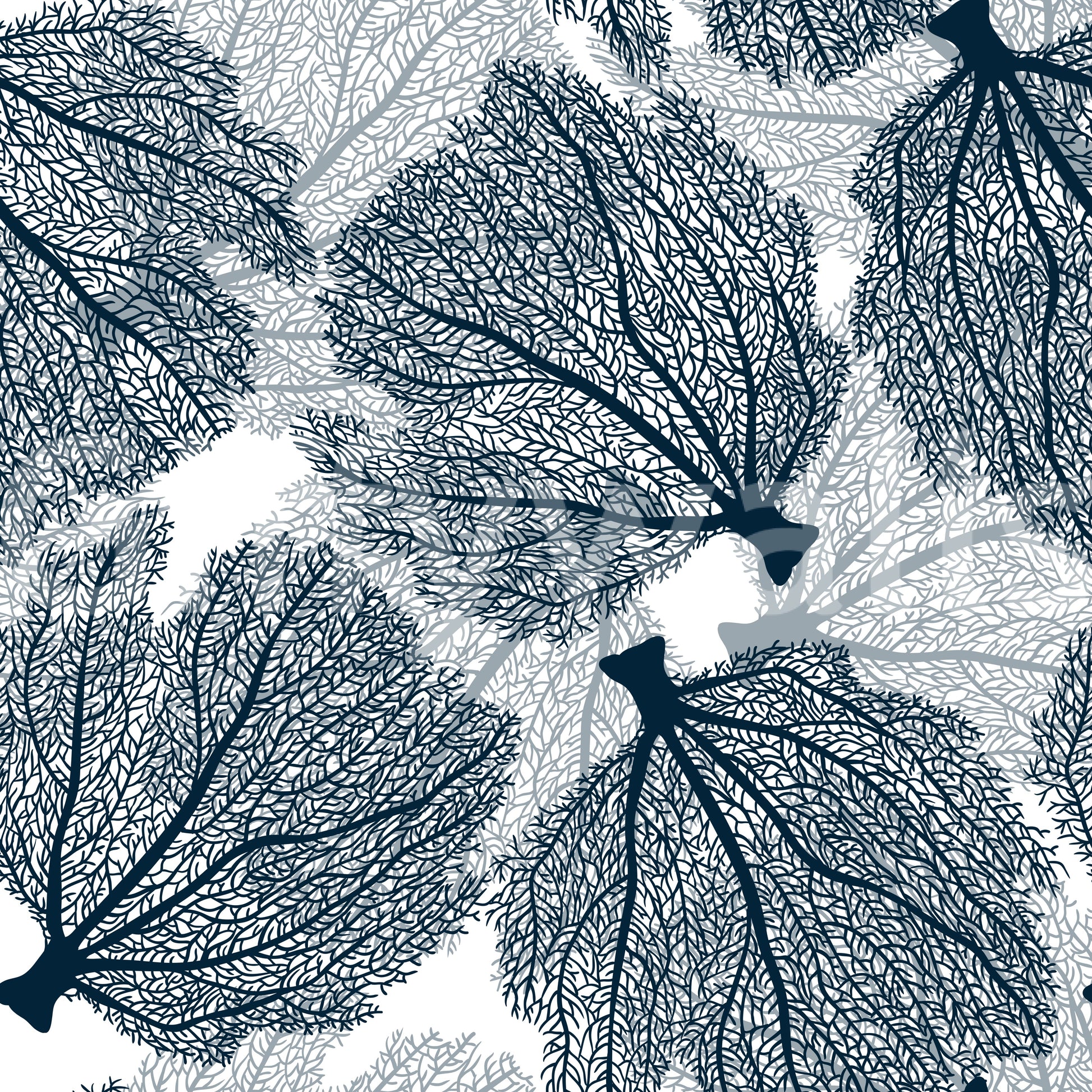 Underwater coral-inspired wallpaper for interiors

