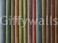 Colorful book spines wall mural for creating a reading nook atmosphere.

