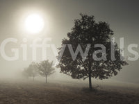 Solitary Sentinel wall mural bringing a sense of solitude and peace.

