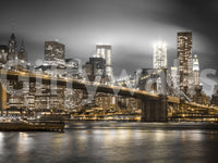 Manhattan view mural from under the Brooklyn Bridge


