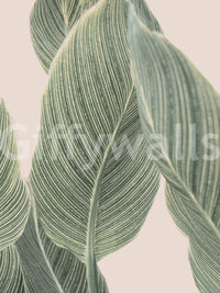Sophisticated botanical lines wall mural for modern homes.

