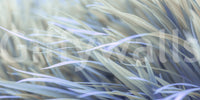 Wavy grass mural for a soft, organic touch to rooms

