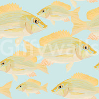 Serene aquatic wallpaper featuring Sand Bream

