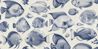 Coastal-themed wallpaper with marine fish drawings

