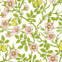 Wild roses and butterflies wallpaper for peaceful spaces

