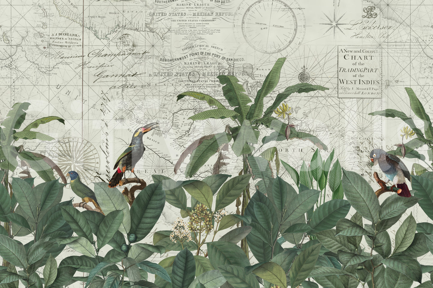 Nature-meets-nostalgia mural wallpaper design

