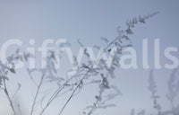 Subtle nature mural wallpaper
