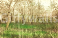 Natural forest photography wall mural
