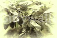 Muted tone leaf wallpaper design
