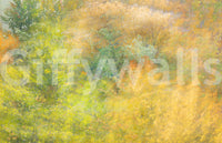 Blurred fall landscape mural
