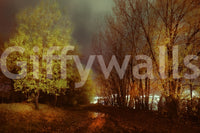 Soft lighting effects on the water.

