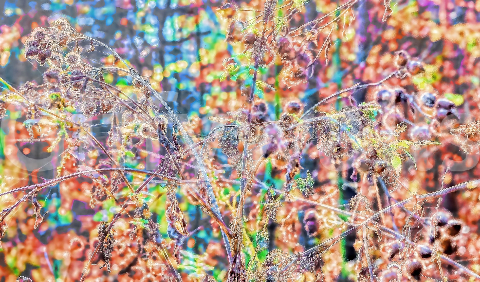 Inviting and sophisticated backdrop.

