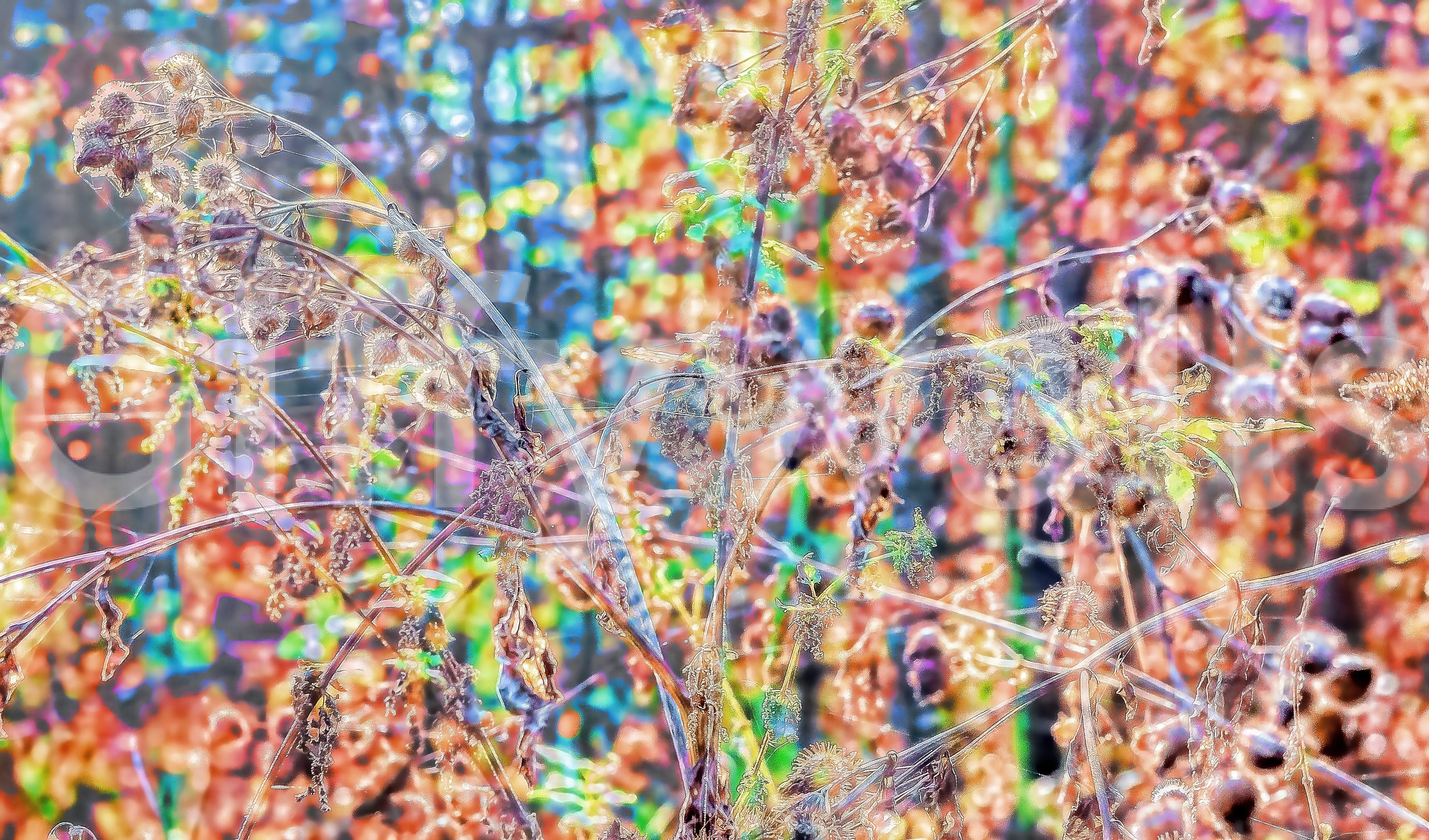 Inviting and sophisticated backdrop.

