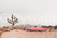 Wall decor evoking serenity and the raw beauty of nature.

